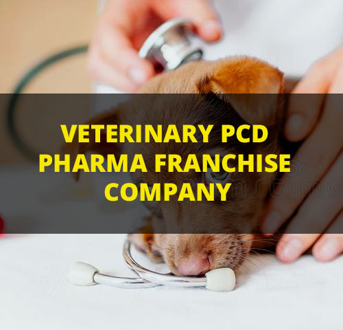 Top Veterinary PCD Pharma Company In India