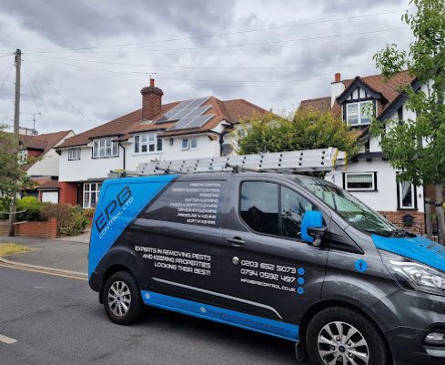 Essex Pest Control & Bird Control: Your Trusted Solution