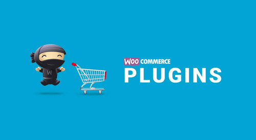 Why Your Store Needs These Essential WooCommerce Extensions